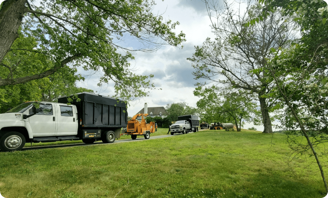 Daniel’s Tree Service